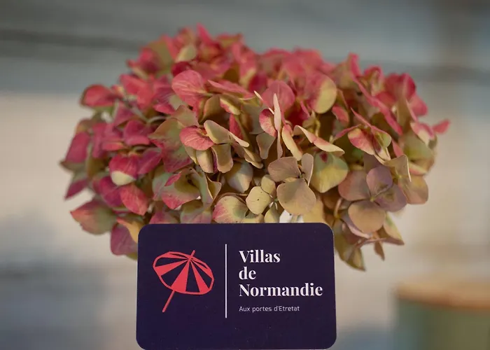 La Fleur De Sel D\'Etretat
